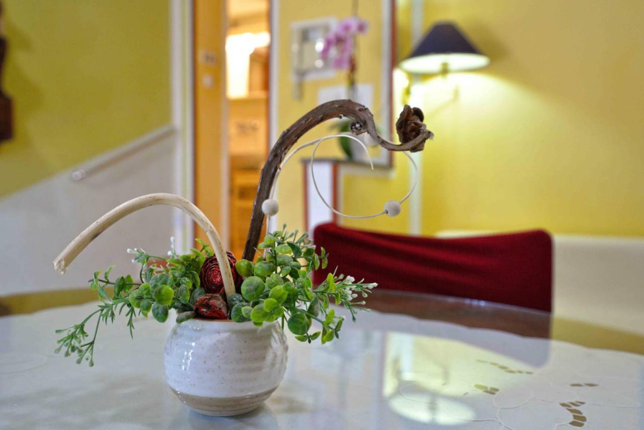 Apartment Zena Murter Luaran gambar
