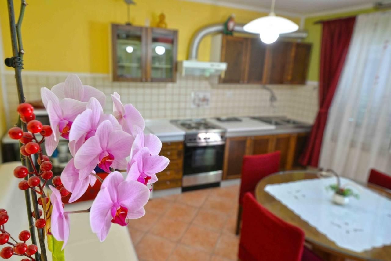 Apartment Zena Murter Luaran gambar